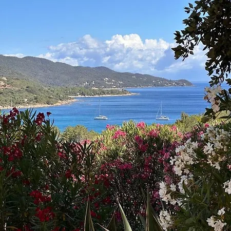 Maeva Duplex Vue A Favone Apartament Conca